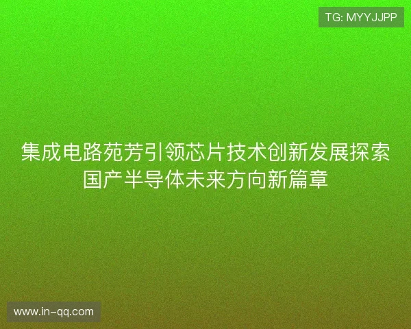 集成电路苑芳引领芯片技术创新发展探索国产半导体未来方向新篇章